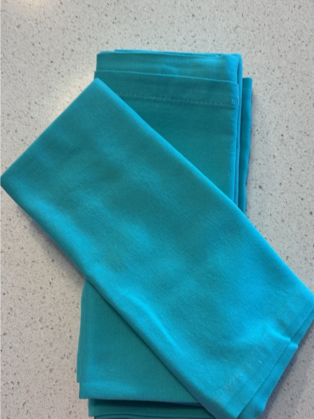 Turquoise Cloth Napkins (6)